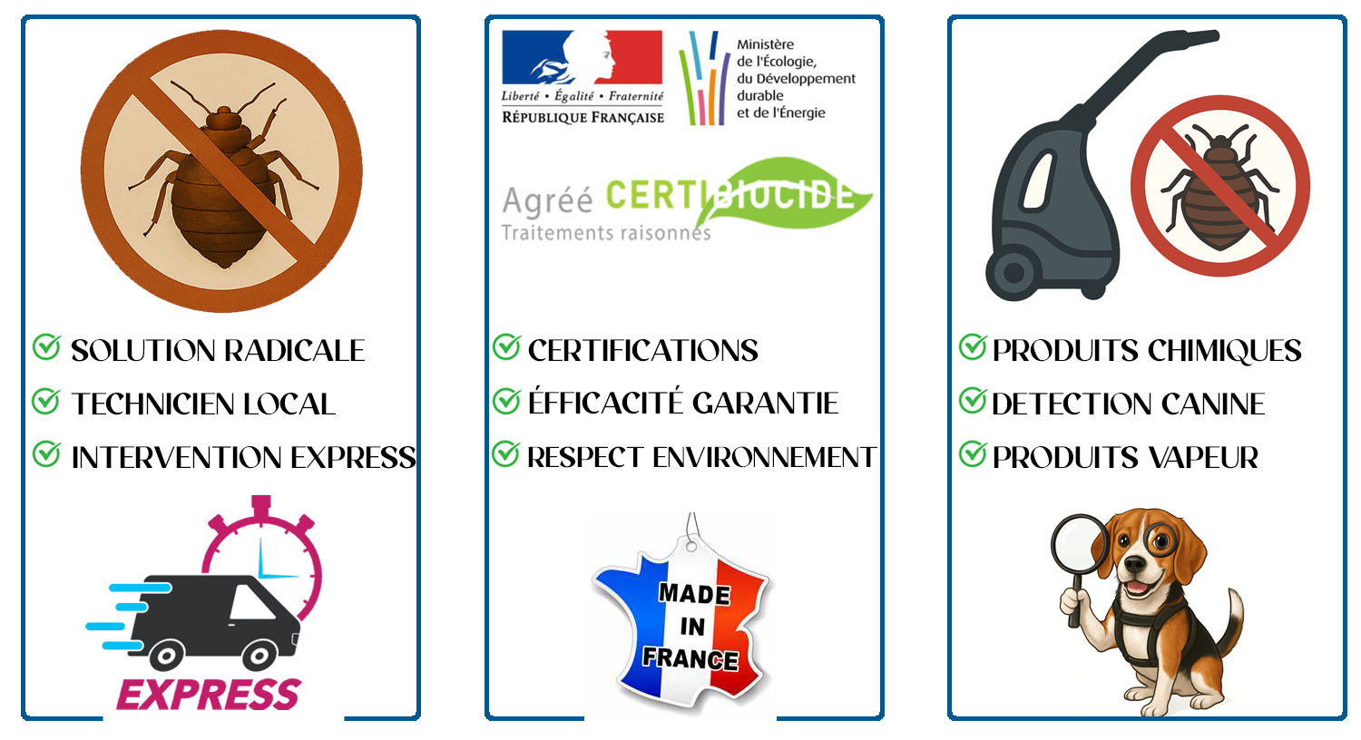 Punaises de Lit Le Kremlin Bicetre